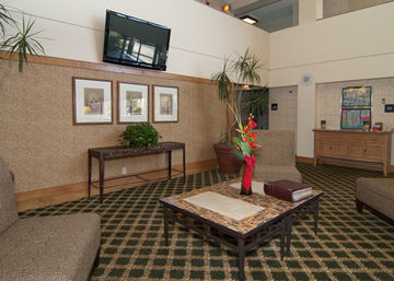 H I Express & Suites San Antonio Medical-Six Flags Kültér fotó